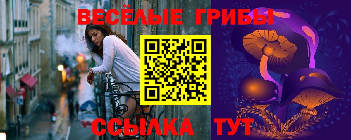 Псилоцибиновые грибы Psilocybine cubensis  Вход с VPN  Верхняя Пышма  Псилоцибиновые грибы ЛСД 